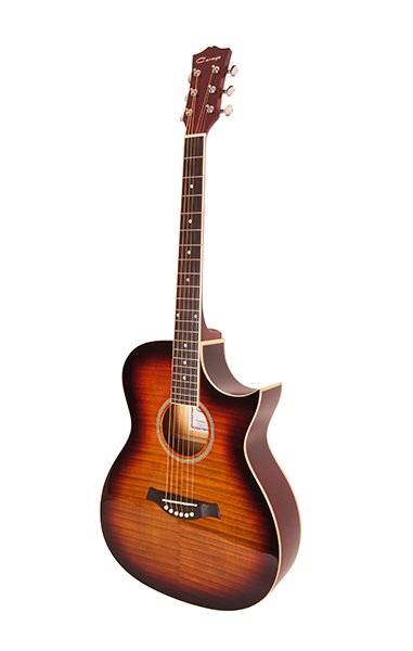 Caraya F531-BS Acoustic Guitar