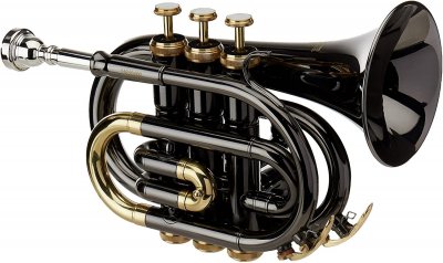 ROY BENSON PT-101K Bb