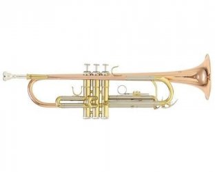 ROY BENSON TR-202G Bb